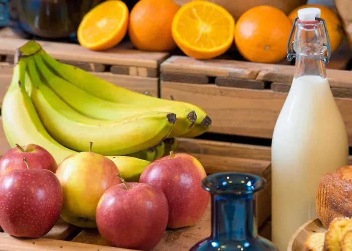 이비스 버짓 루아시 Cdg 파리 노흐드 2 호텔